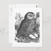 Retrobroeduil tekening briefkaart (Voorkant / Achterkant)