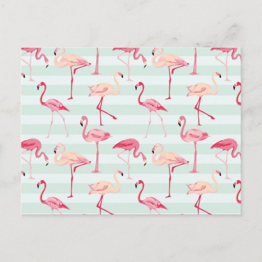 Retroflamingos op mintstrips briefkaart (Voorkant)