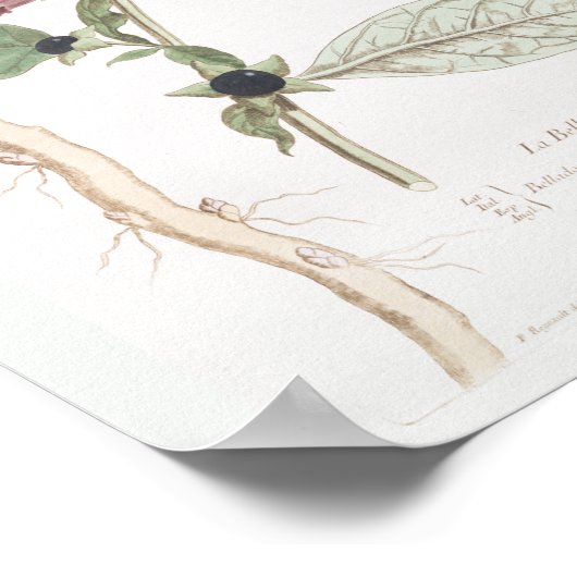  retroflecterende bodemgetekende poster (Hoek)