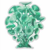 Retrogroene onderwateralgen sticker (Voorkant)