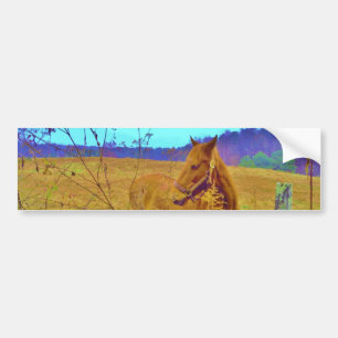 Retrokleurige paarden bumpersticker