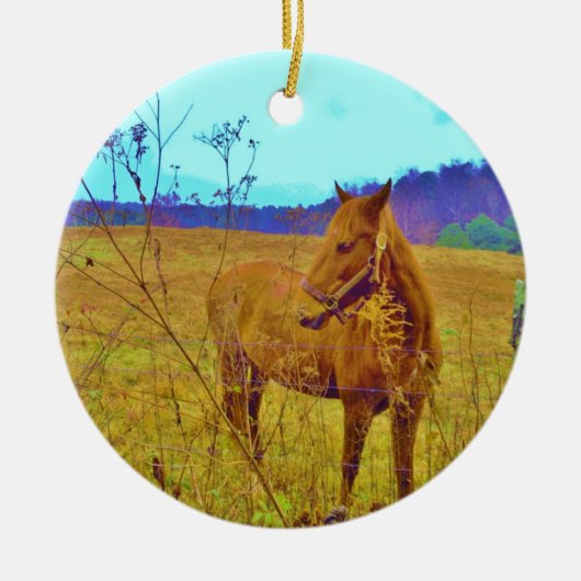 Retrokleurige paarden keramisch ornament (Voorkant)