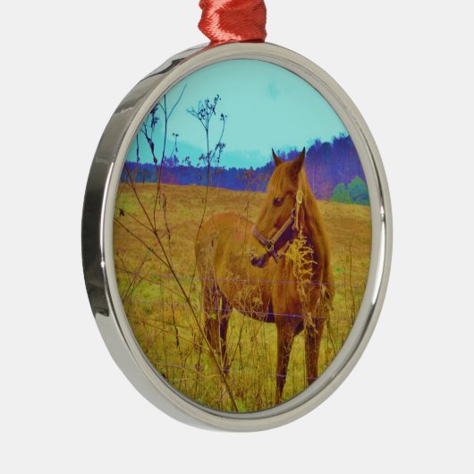 Retrokleurige paarden metalen ornament (Rechts)
