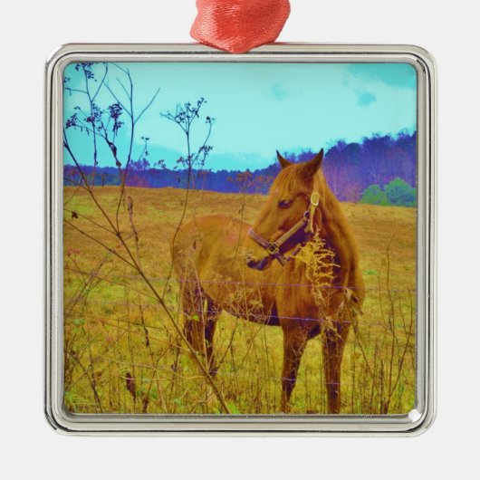 Retrokleurige paarden metalen ornament (Voorkant)