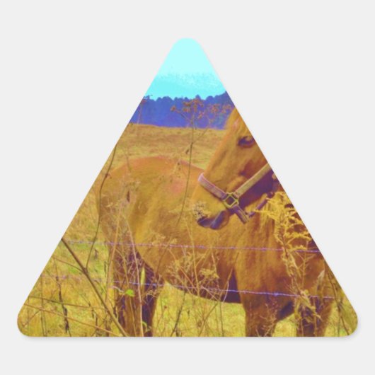 Retrokleurige paarden sticker (Voorkant)