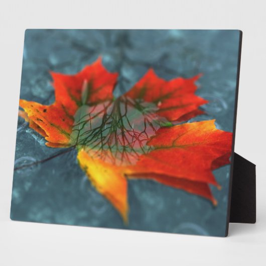 Retroreflectie Afbeelding Plaque Fotoplaat (Zijkant)