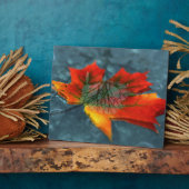 Retroreflectie Afbeelding Plaque Fotoplaat (Zijkant)