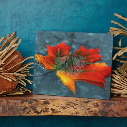 Retroreflectie Afbeelding Plaque Fotoplaat (Zijkant)