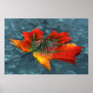 Retroreflectie afdrukken poster