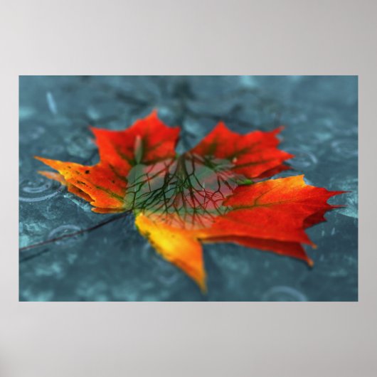 Retroreflectie afdrukken poster (Voorkant)