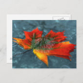 Retroreflectie-Briefkaart Briefkaart (Voorkant / Achterkant)