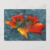 Retroreflectie-Briefkaart Briefkaart (Voorkant)