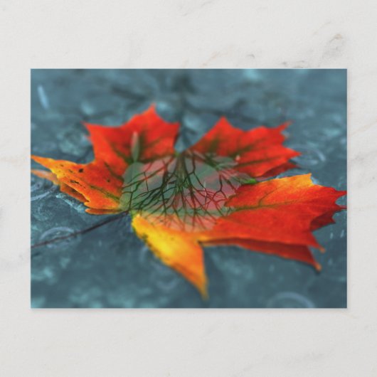 Retroreflectie-Briefkaart Briefkaart (Voorkant)