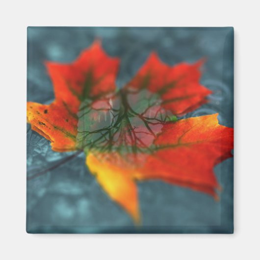 Retroreflectiesmagneet Magneet (Voorkant)