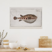 retrorepoffy visaecologische tekening poster (Keuken)