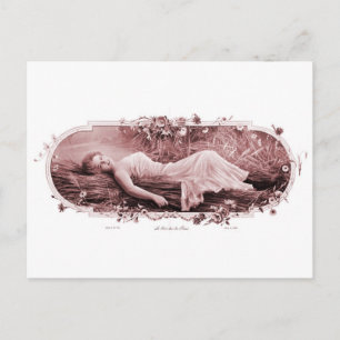  retrovrouwen Franse Victoriaans vrouw Briefkaart