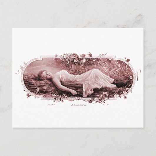  retrovrouwen Franse Victoriaans vrouw Briefkaart (Voorkant)