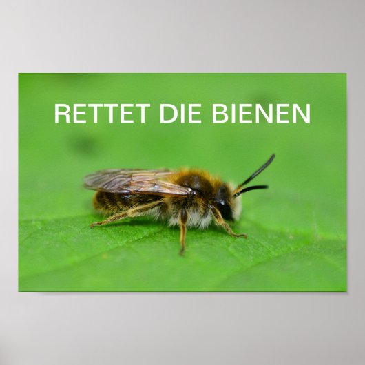 Rettet die Bienen Poster (Voorkant)
