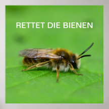 Rettet die Bienen
