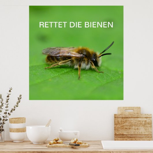 Rettet die Bienen Poster (Keuken)