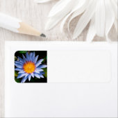 Return address labels (Insitu)