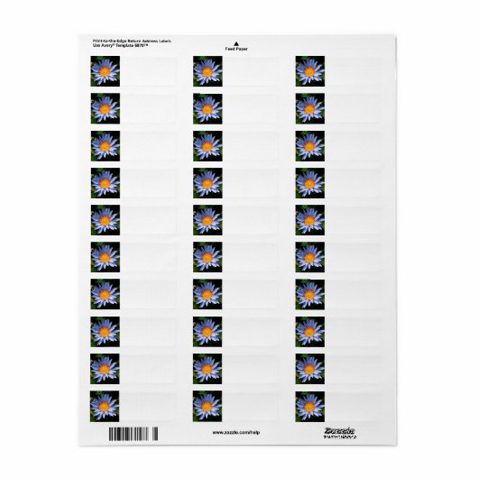 Return address labels (Full Sheet)