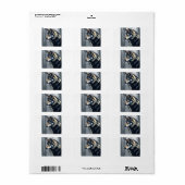 Return address labels  (Full Sheet)