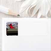 return address labels Cardina; (Insitu)