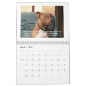 Reunion Rescue 2013 Singing Pit Bulls Calendar Kalender (Mar 2026)
