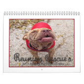 Reunion Rescue 2013 Singing Pit Bulls Calendar Kalender (Hoes)
