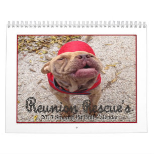 Reunion Rescue 2013 Singing Pit Bulls Calendar Kalender