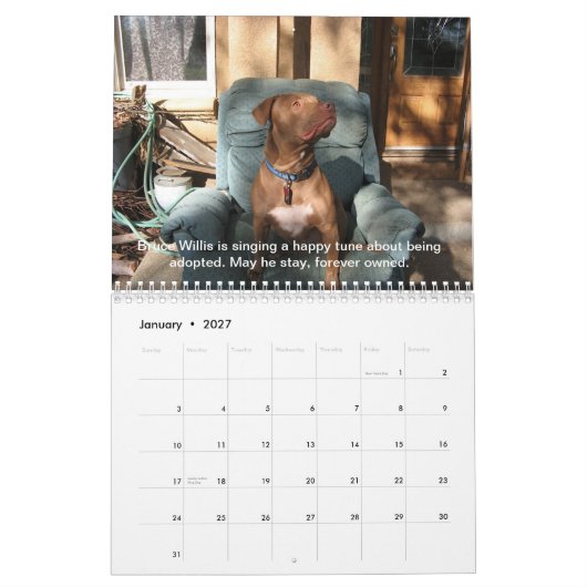 Reunion Rescue 2013 Singing Pit Bulls Calendar Kalender (Jan 2027)
