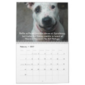 Reunion Rescue 2013 Singing Pit Bulls Calendar Kalender (Feb 2027)