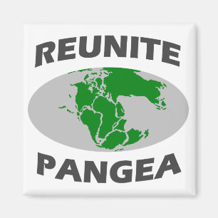 Reunite Pangea Magneet