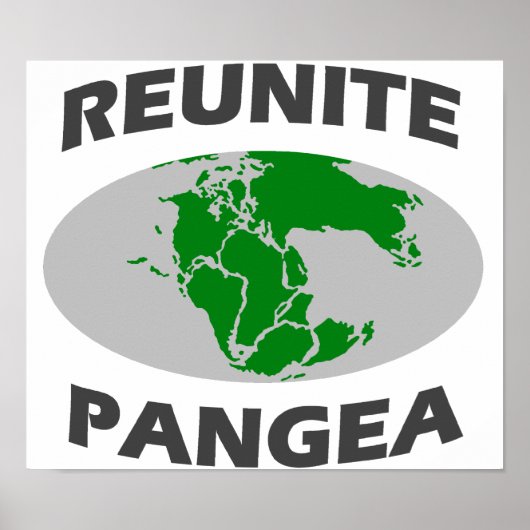 Reunite Pangea Poster (Voorkant)