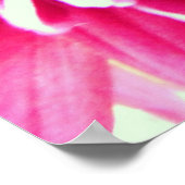 reusachtig chrysanthemum roze bloemcanvas poster (Hoek)