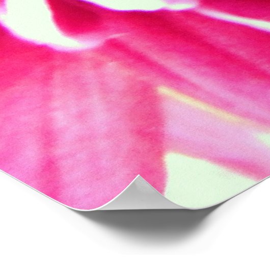 reusachtig chrysanthemum roze bloemcanvas poster (Hoek)