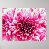 reusachtig chrysanthemum roze bloemcanvas poster (Voorkant)