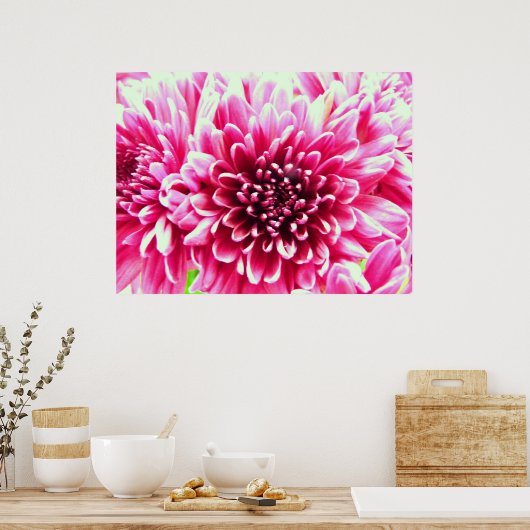 reusachtig chrysanthemum roze bloemcanvas poster (Keuken)