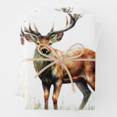 reusachtig hert in een rack inpakpapier vel (In situ)