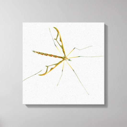 reusachtig met insecten bekleed canvas afdruk (Voorkant)