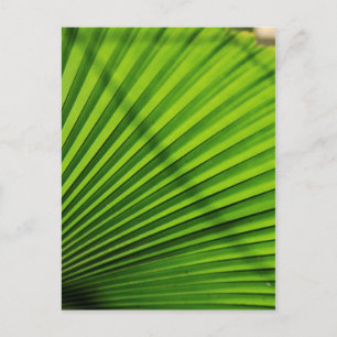 Reusachtig palmbladpatroon briefkaart
