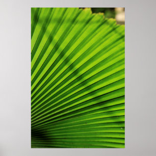 Reusachtig palmbladpatroon poster