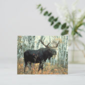 Reusachtige Amerikaanse elanden Briefkaart (Staand voorkant)