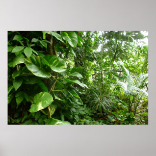 Reusachtige Bladeren Jungle View Plant Foto Poster