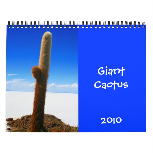 reusachtige cactus kalender 2010 (Hoes)