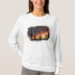 reusachtige cactussen, Carnegiea gigantea, na T-shirt