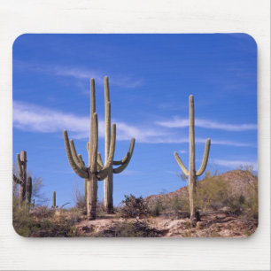 Reusachtige saguaro-cactus met meerdere armen, Sag Muismat