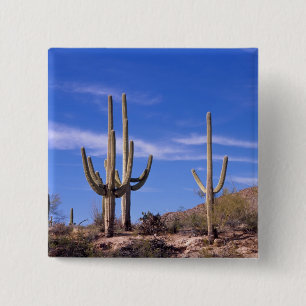 Reusachtige saguaro cactus met meerdere armen, Sag Vierkante Button 5,1 Cm