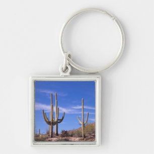 Reusachtige saguarocactus met meerdere armen, Sagu Sleutelhanger